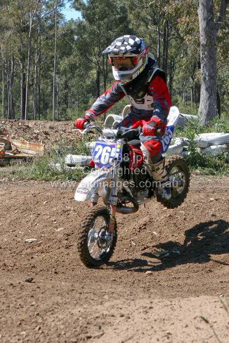 445x677 pixels (95K)